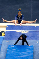 GW_Women's_Gymnastics-2